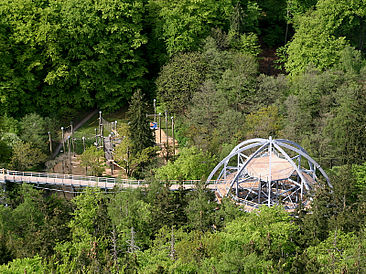 Großer Burgberg mit Baumwipfelpfad