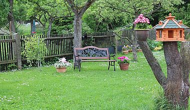 Ferienhaus Bollmann Garten in Ilsenburg