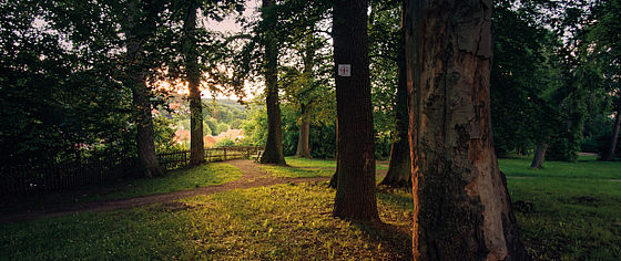 Harzer Klosterwanderweg