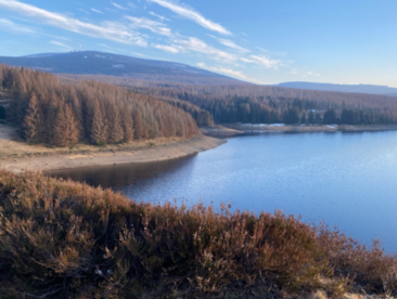 Eckertalsperre (23,9 km)