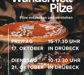 Pilzexkursion Drübeck