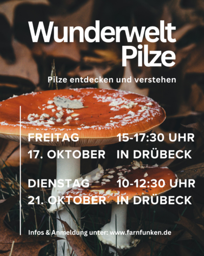 Pilzexkursion Drübeck