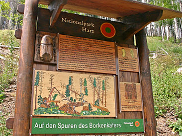 Auf dem Borkenkäferpfad