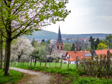 Kurzwanderung vom Kloster Ilsenburg zum Kloster Drübeck