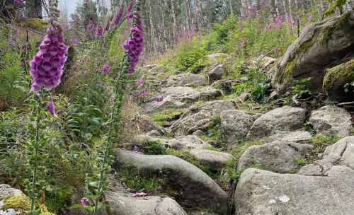 Naturerlebnisse