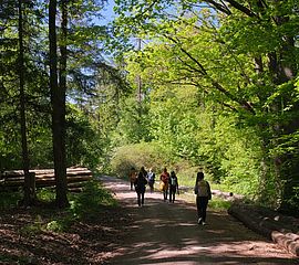 Afterwork-Waldbaden