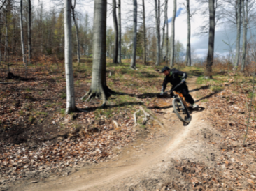 On the Kammweg in the Trailpark Harz