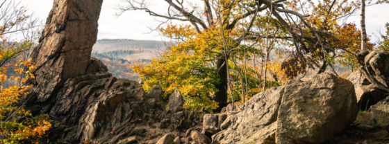 Naturerlebnisse
