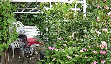 Ferienzimmer Gresens Garten Ilsenburg