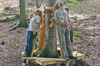 Borkenkäferpfad