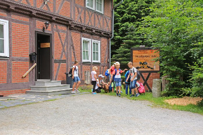 Borkenkäferpfad