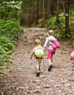 Hiking with children