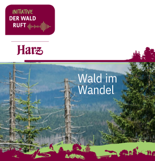 Wald im Wandel