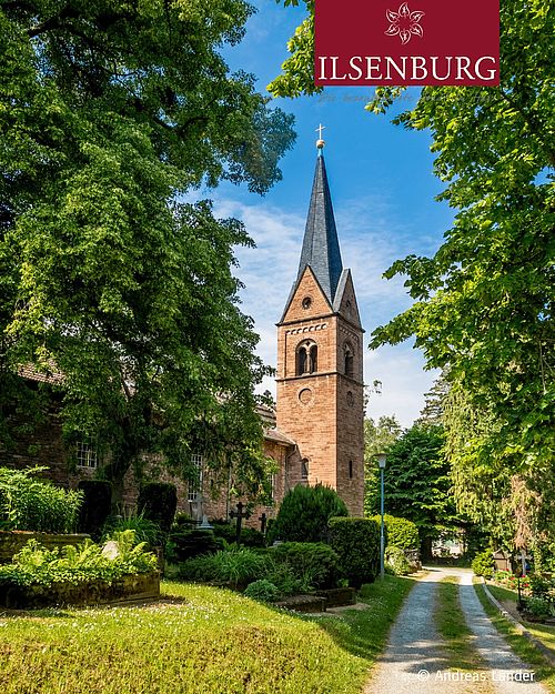 Zwischen alten Bäumen erhebt sich die Marienkirche - still, zeitlos und voller Geschichte. Ein Ort, der Geschichten...