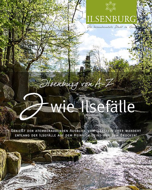 I wie Ilsefälle 💧🌲
Das Rauschen hörst du schon, bevor du sie siehst.
Die Ilse schlängelt sich durch das Tal, springt...