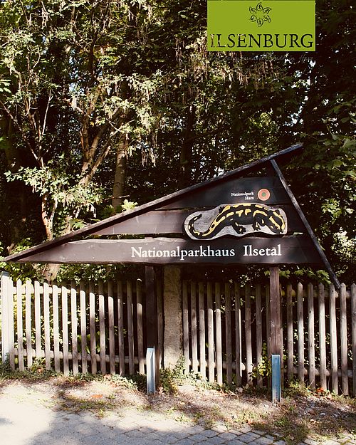 Heute gibt es eine Geheimtipp-Wanderung von uns!👀🥾

Vom Nationalparkhaus geht die ca. 4-stündige Wanderung etwa 300 m...