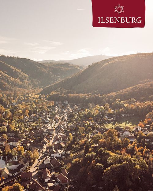 Ausblick über Ilsenburg – Harzidylle pur mit Blick auf Fachwerk, Wald und Weite. 🏡🌲

#ilsenburg #ilsenburgimharz #harz...