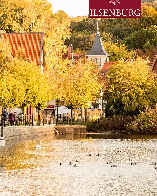 Goldene Blätter, leuchtende Rot- und Orangetöne und die ruhige Wasseroberfläche – rund um den Forellenteich zeigt sich...