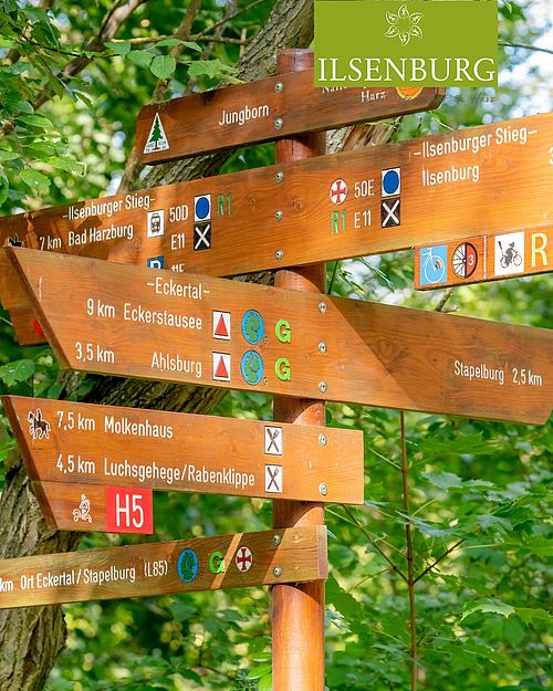 Links zum Ilsenburger Stieg, rechts Richtung Eckertal – und überall wartet das nächste Abenteuer. 🥾
 Im Nationalpark...