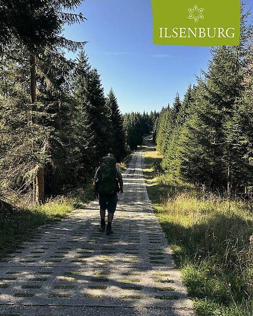 Der Heinrich-Heine-Weg gilt als der schönste Wanderweg auf den Brocken. Wie wäre es also mal wieder nach Ilsenburg zu...