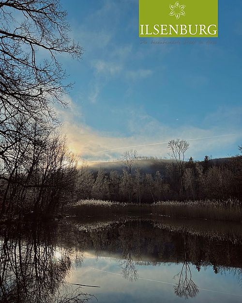 ❄️✨

#ilsenburg #winter #ilsenburgimharz