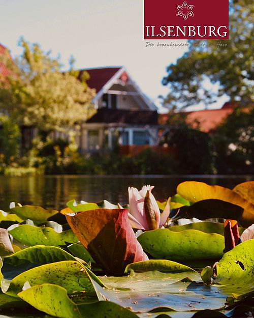 Zwischen sanften Wellen und frischem Grün zeigen sich die ersten Blüten auf dem Wasser. 🌸
#frühlingserwachen...