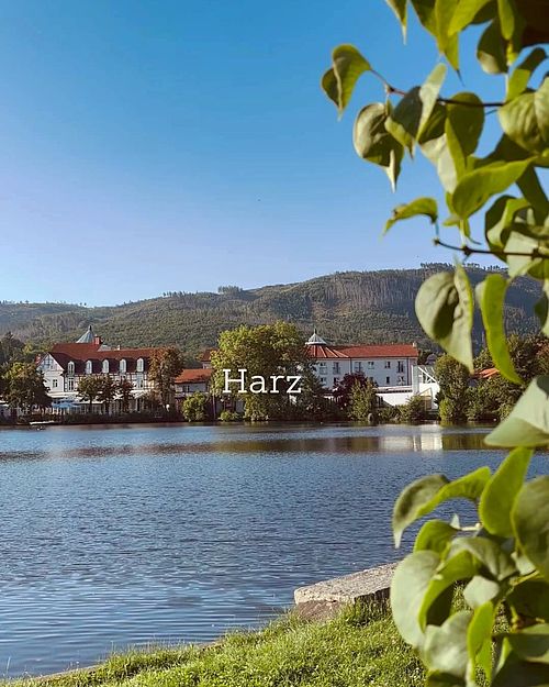 Ilsenburg – wo Geschichte, Natur und Harzer Gastfreundschaft aufeinandertreffen. 🌿🏰
Ein Ort zum Verlieben und Entdecken!...
