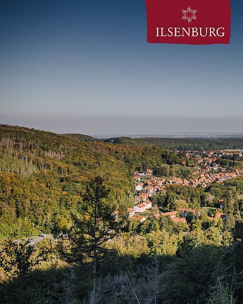 Auf dem Weg zum Ilsestein hat man einen tollen Blick auf Ilsenburg und das Harzvorland👀✨

#ilsenburg #ilsetal...