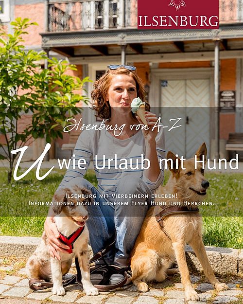 U wie Urlaub mit Hund 🐾

Urlaub mit Hund? In Ilsenburg seid ihr gemeinsam herzlich willkommen! 🐶🌲
Ob entspannter...