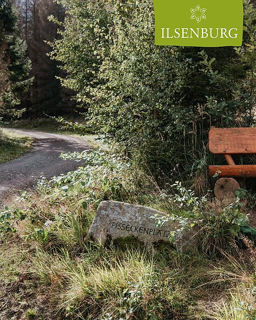 Wie wäre es mit einer Wanderung durch die "Darlingeröder Schweiz" östlich von Ilsenburg? 🥾
Durch hügeliges,...
