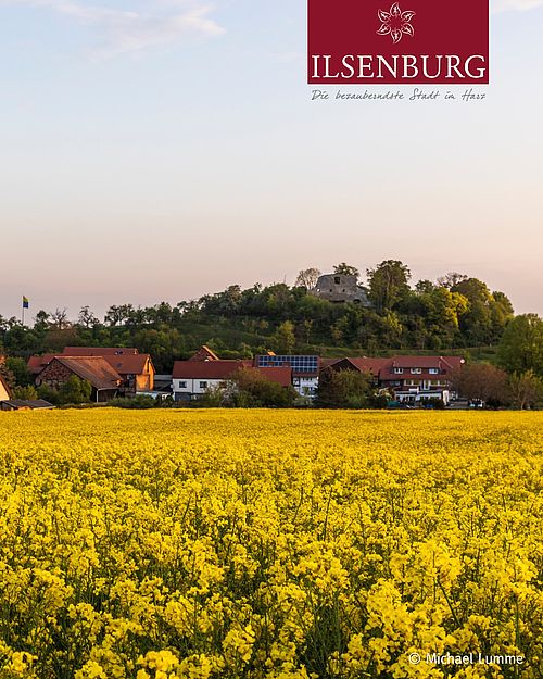 Goldene Momente im Harz. 🌼✨
Wenn die Rapsfelder blühen und die Sonne den Harz in warmes Licht taucht, zeigt sich unsere...