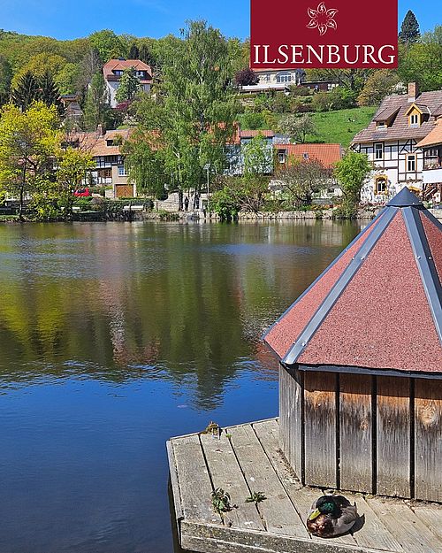 Manchmal braucht es nicht viel: ein stiller Teich, das Spiegelbild der Fachwerkhäuser und eine Ente, die ganz entspannt...