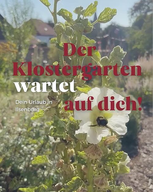 Zwischen alten Mauern und blühenden Gärten: Das @klosterdruebeck lädt dich ein, für einen Moment die Zeit zu vergessen....