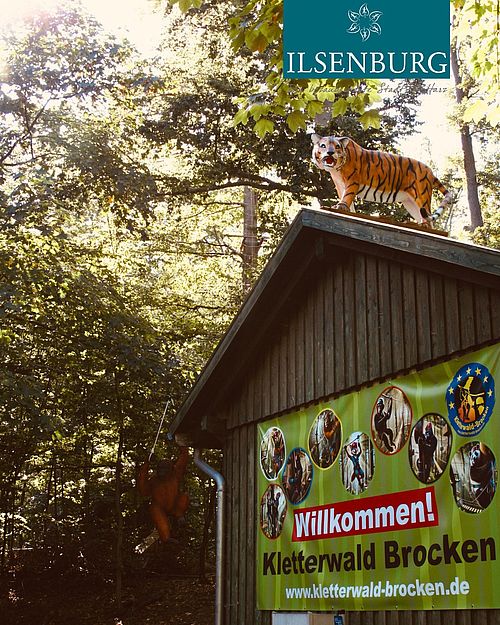 🌲 Kletterwald am Brocken – euer Abenteuer im Harz 🌲

Im idyllischen Ilsetal bei Ilsenburg erwartet euch der größte...