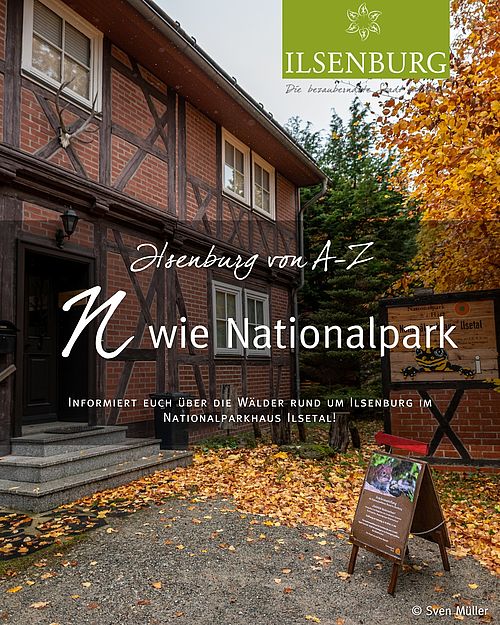 N wie Nationalpark 🌿🦌

Wilde Wälder, moosbedeckte Felsen und klare Bäche – der Nationalpark Harz beginnt direkt vor...