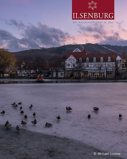 Der Winter hält sich noch fest, aber der Frühling klopft schon leise an. ❄️🍃
#frühjahrsvibes #forellenteich #ilsenburg