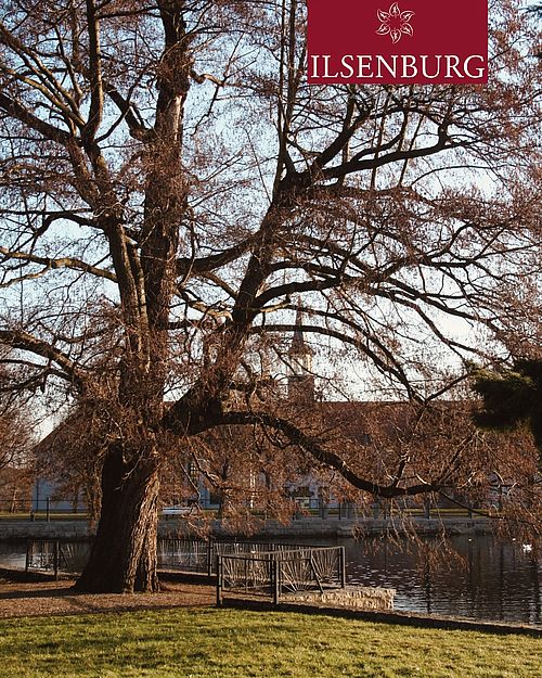 Winterruhe im Forellenpark Ilsenburg – wo Natur, Wasser und Harzmagie zusammentreffen. 🐟✨

#ilsenburg #ilsenburgimharz...