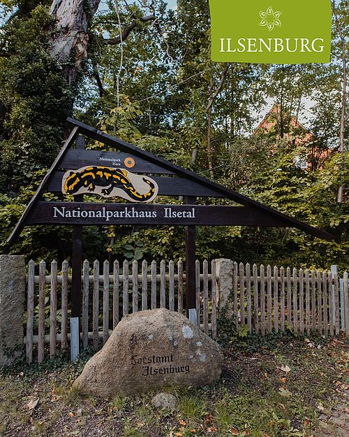 🌳Zum Froschfelsen🌳

Unser heutiger Tourentipp startet am Blochhauer. Von dort aus geht es gradeaus Richtung Ilsetal bis...