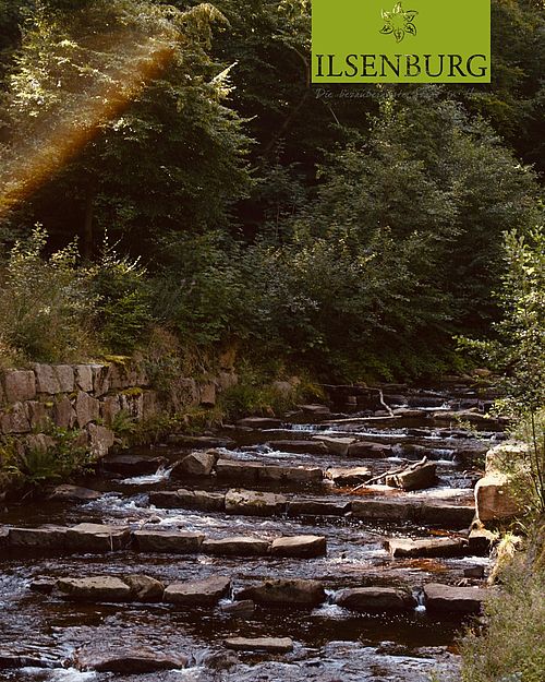 🌲 Der Blochhauer – dein Start in die Harzer Wälder! 🥾
Wo einst roh geschnittene Baumstämme zu Balken behauen wurden,...