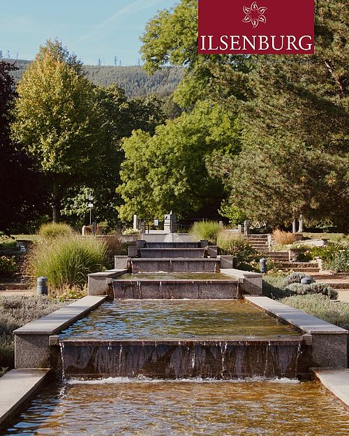 ✨ Der Friedenspark in Ilsenburg ✨
Hier kannst du wunderbar die Seele baumeln lassen. 🌿
Plätschernde Wasserkaskaden, ein...