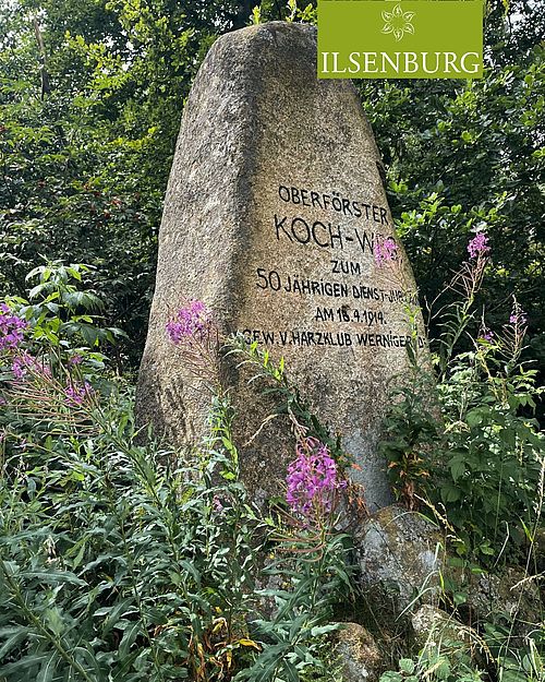 Wie wäre es mit einer Wanderung durch die "Darlingeröder Schweiz" östlich von Ilsenburg? 🥾
Durch hügeliges,...